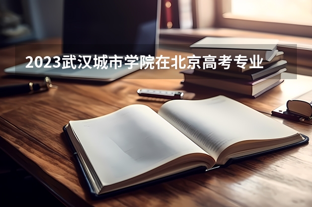 2023武汉城市学院在北京高考专业招生计划人数(2024参考)