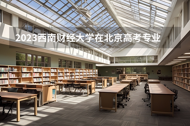 2023西南财经大学在北京高考专业招生计划人数(2024参考)