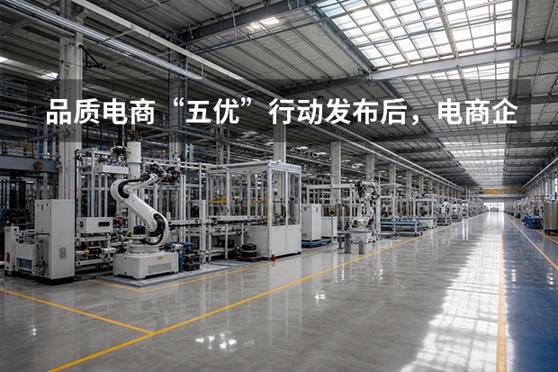 品质电商&ldquo;五优&rdquo;行动发布后，电商企业如何整理可核验的服务与产品信息？