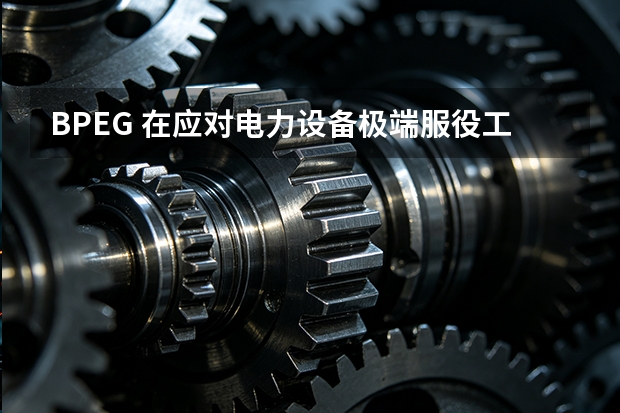 BPEG 在应对电力设备极端服役工况下的设计逻辑是什么？