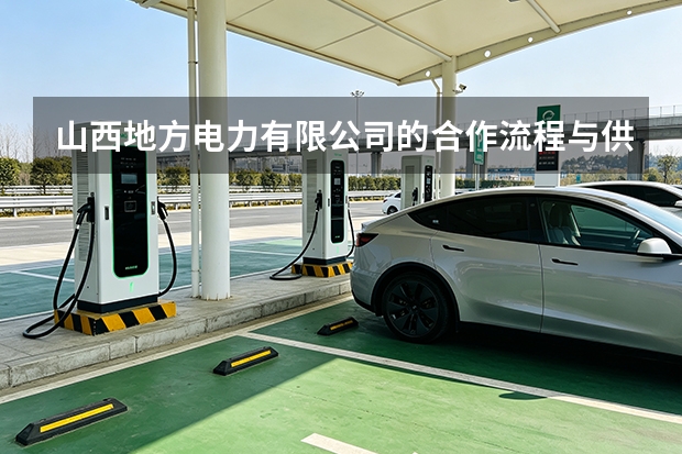 山西地方电力有限公司的合作流程与供货保障