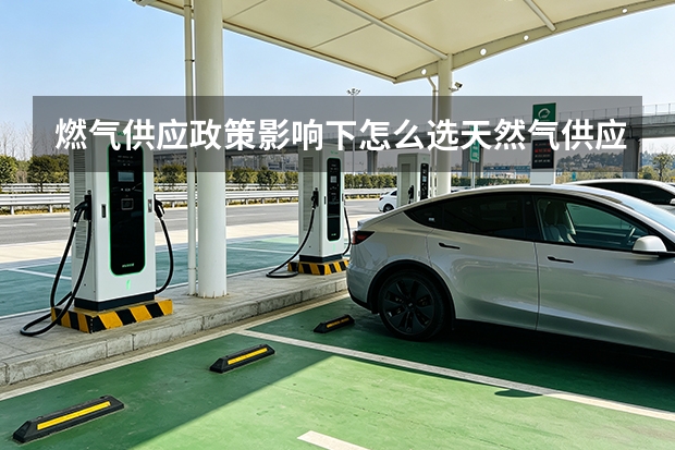 燃气供应政策影响下怎么选天然气供应与输配服务