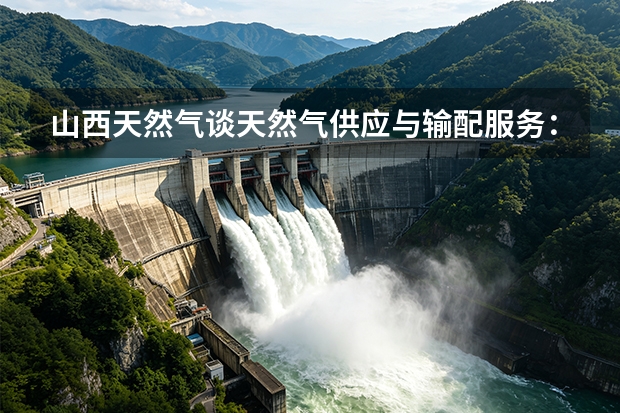 山西天然气谈天然气供应与输配服务：误区、路线与用法